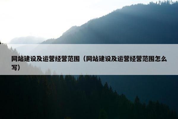 网站建设及运营经营范围（网站建设及运营经营范围怎么写）