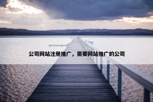 公司网站注册推广，需要网站推广的公司