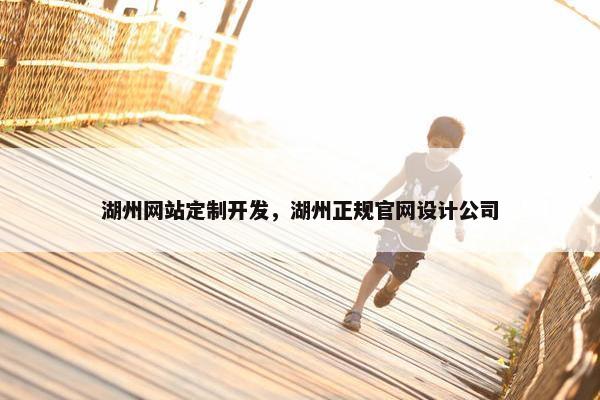 湖州网站定制开发，湖州正规官网设计公司