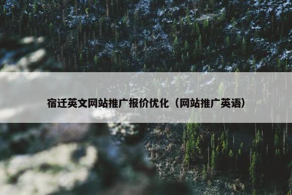 宿迁英文网站推广报价优化（网站推广英语）
