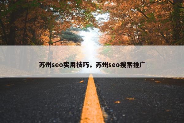 苏州seo实用技巧，苏州seo搜索推广