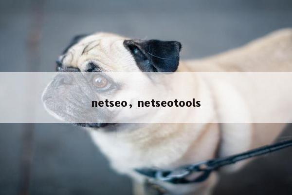 netseo，netseotools