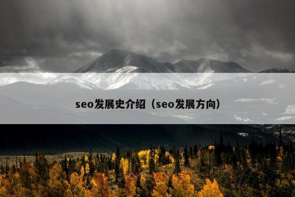 seo发展史介绍（seo发展方向）