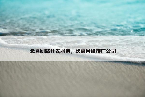 长葛网站开发服务，长葛网络推广公司