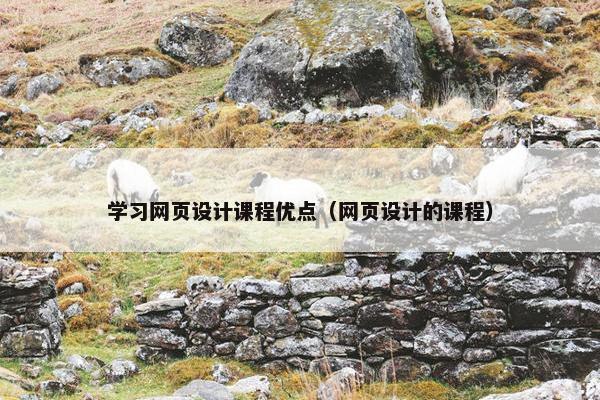 学习网页设计课程优点（网页设计的课程）