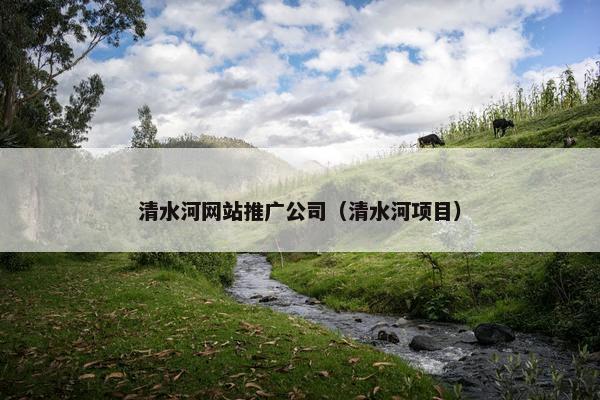 清水河网站推广公司（清水河项目）