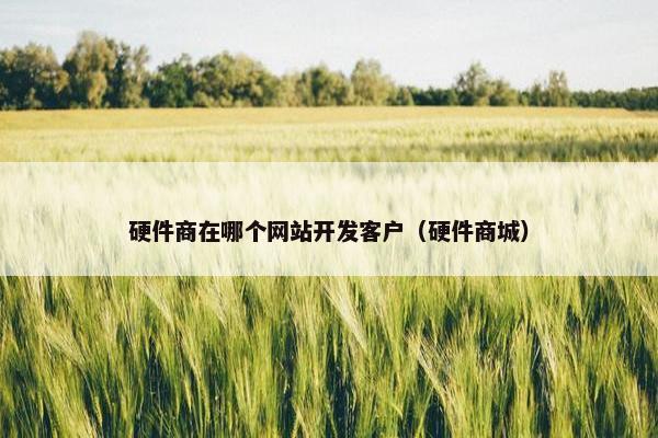 硬件商在哪个网站开发客户（硬件商城）