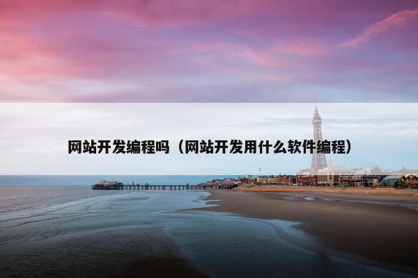 网站开发编程吗（网站开发用什么软件编程）