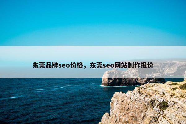 东莞品牌seo价格，东莞seo网站制作报价