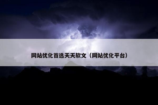 网站优化首选天天软文（网站优化平台）