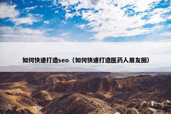 如何快速打造seo（如何快速打造医药人朋友圈）