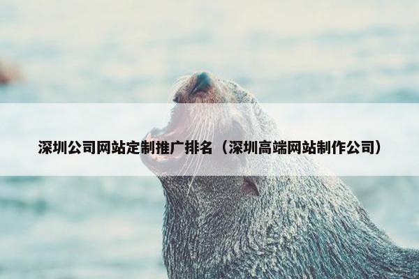 深圳公司网站定制推广排名（深圳高端网站制作公司）