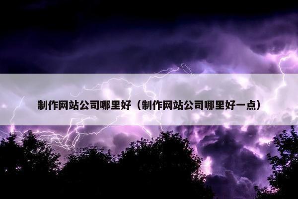 制作网站公司哪里好（制作网站公司哪里好一点）