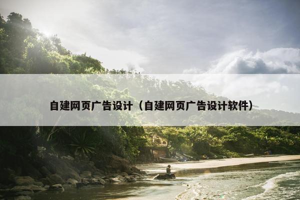 自建网页广告设计（自建网页广告设计软件）