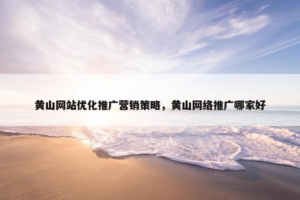 黄山网站优化推广营销策略，黄山网络推广哪家好