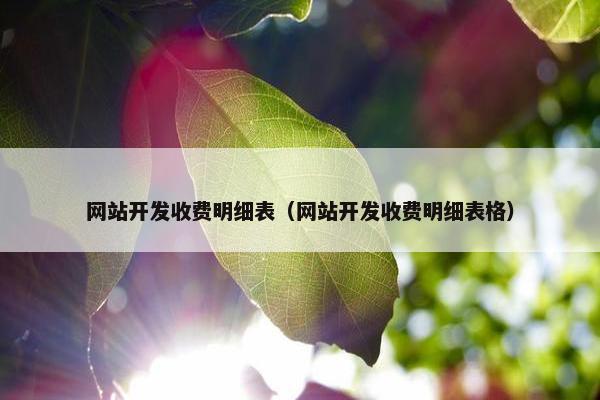 网站开发收费明细表（网站开发收费明细表格）