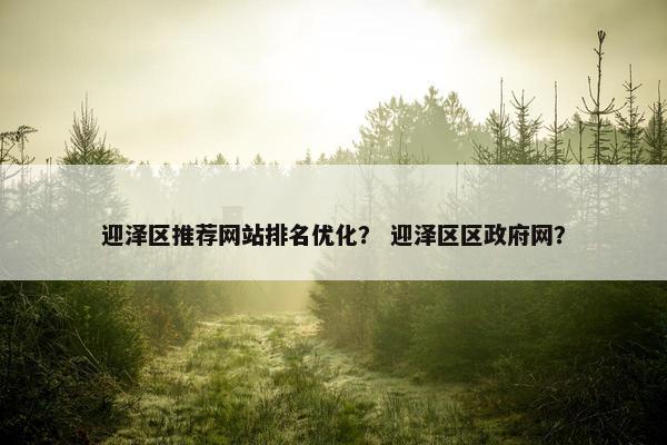 迎泽区推荐网站排名优化？ 迎泽区区政府网？