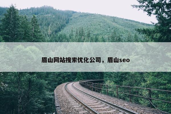 眉山网站搜索优化公司，眉山seo