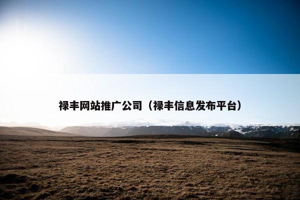 禄丰网站推广公司（禄丰信息发布平台）