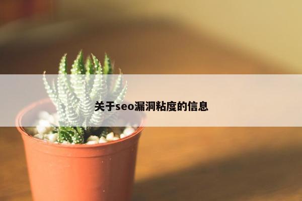 关于seo漏洞粘度的信息