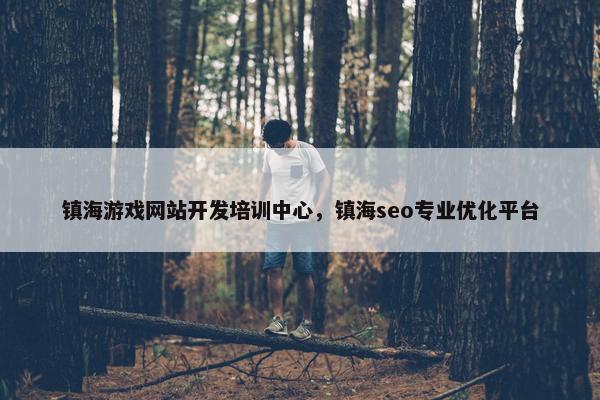 镇海游戏网站开发培训中心，镇海seo专业优化平台