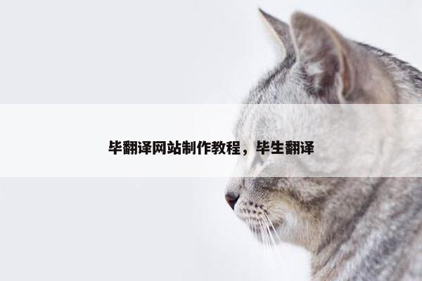 毕翻译网站制作教程，毕生翻译
