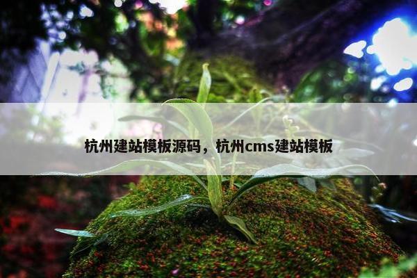杭州建站模板源码，杭州cms建站模板